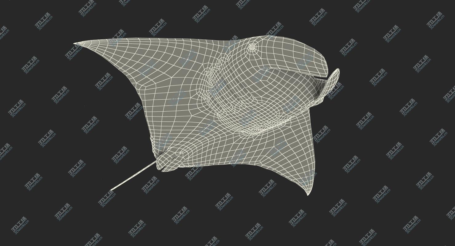 images/goods_img/20210319/Manta Ray Rigged for Maya/4.jpg